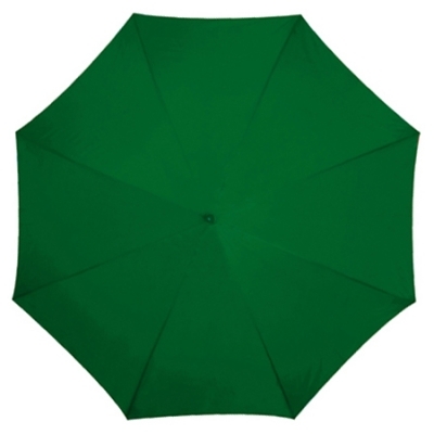 Automatic umbrella
