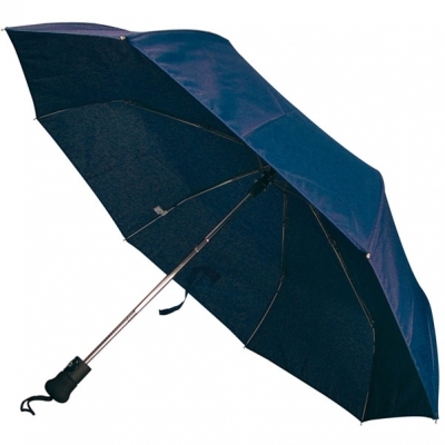 Automatic umbrella