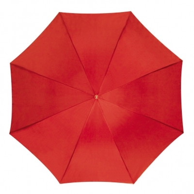 Automatic umbrella