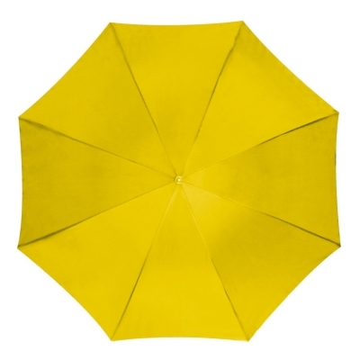 Automatic umbrella