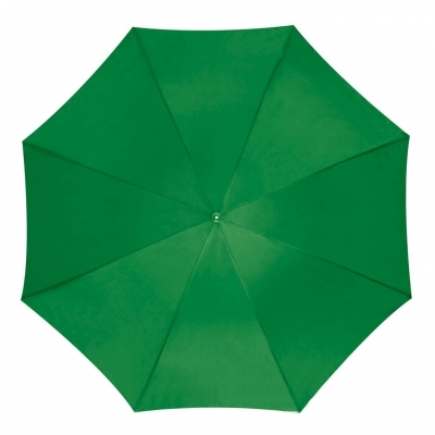 Automatic umbrella