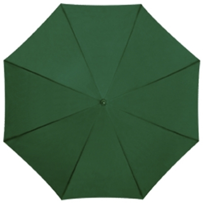 Automatic umbrella