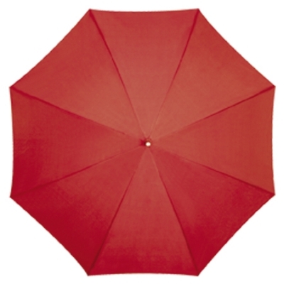 Automatic umbrella